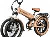 TEMAROO Expands OEM Applications from Folding Trikes to Family E-Mobility